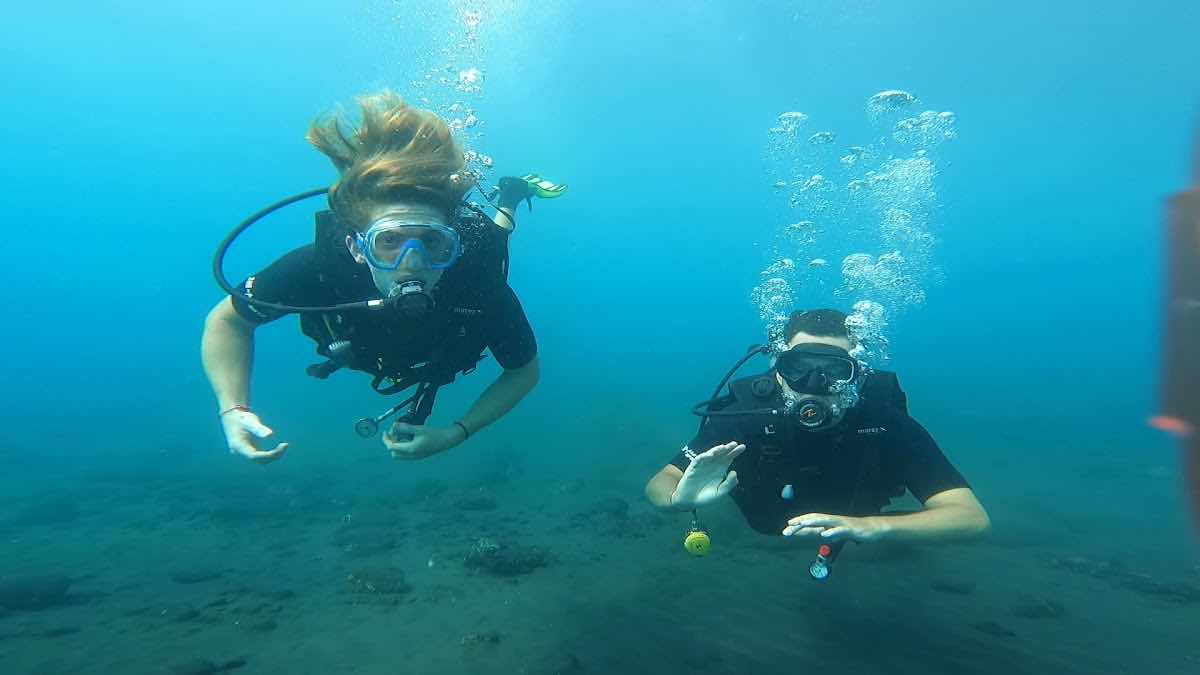 Liberty Wreck Dive photo 3