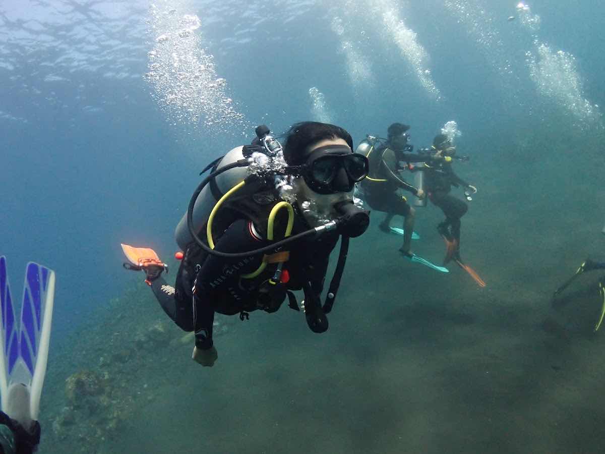 Liberty Wreck Dive photo 7