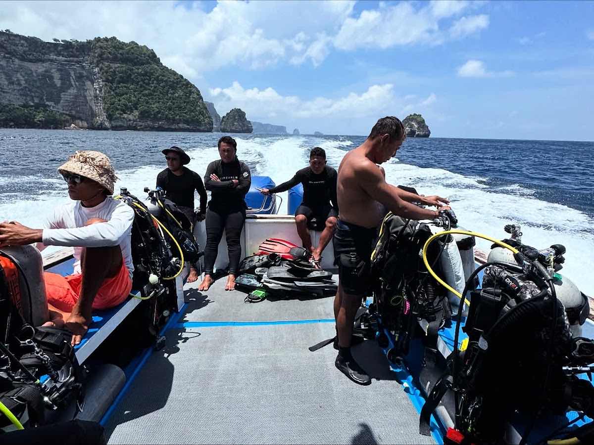Liberty Wreck Dive photo 10