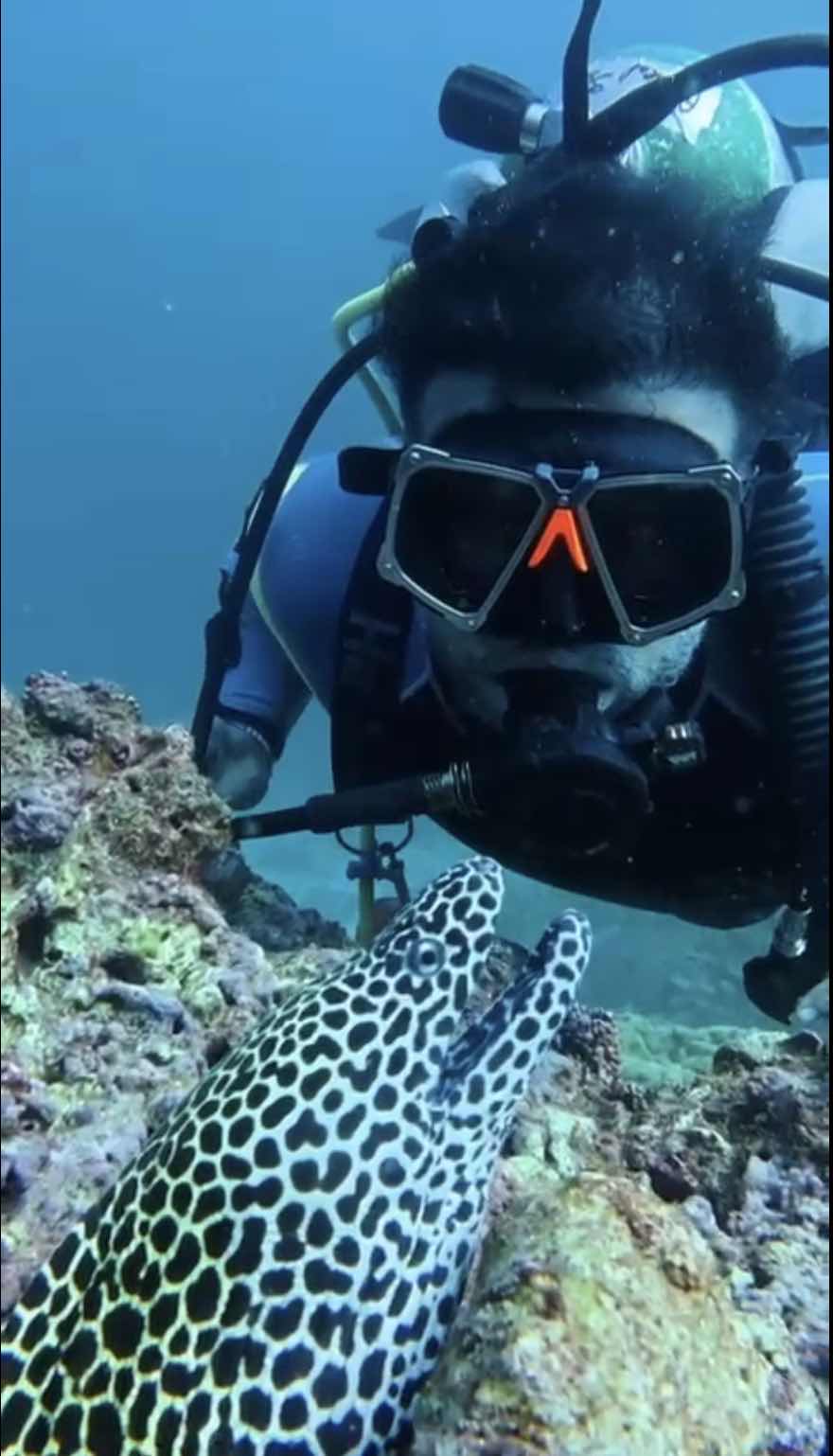 5oceans diving center photo 5