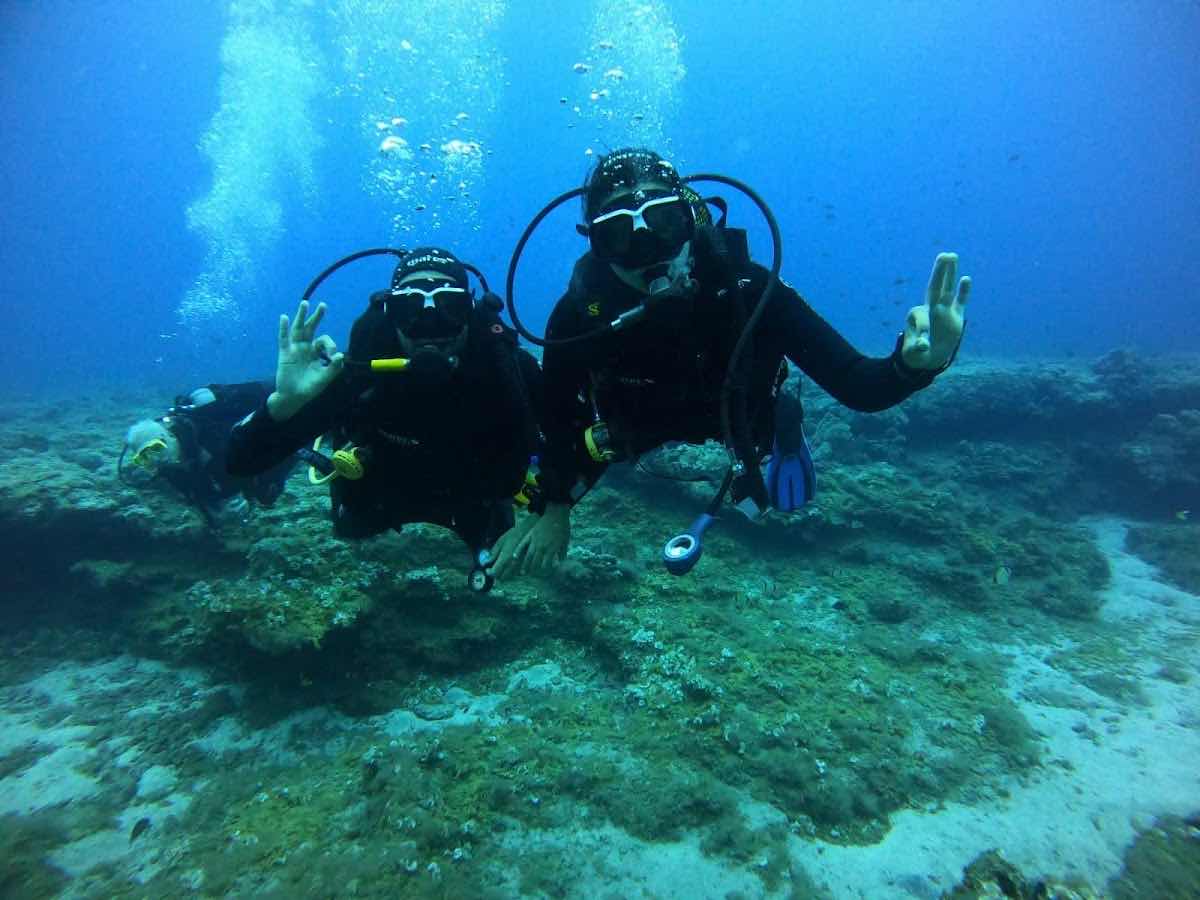 Porto Santo Sub, lda - Dive Centre photo 9