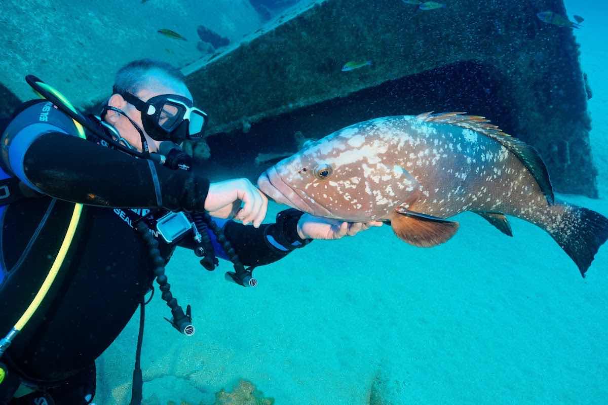 Porto Santo Sub, lda - Dive Centre photo 10