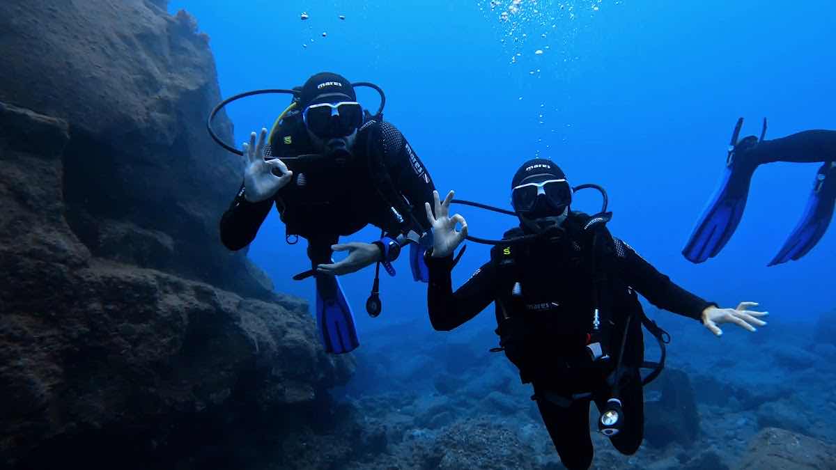 Madeira Diving Center photo 3