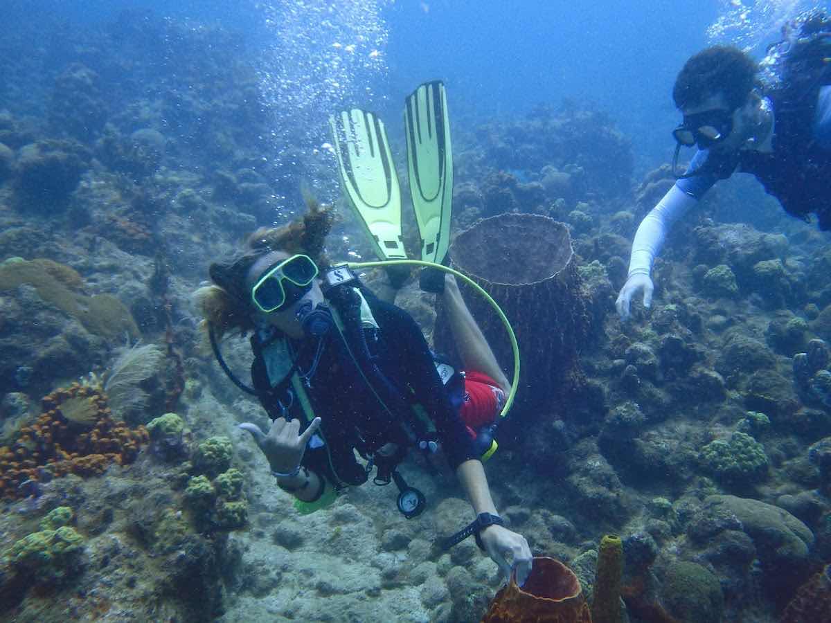 Atlantis Plongée, Guadeloupe photo 3