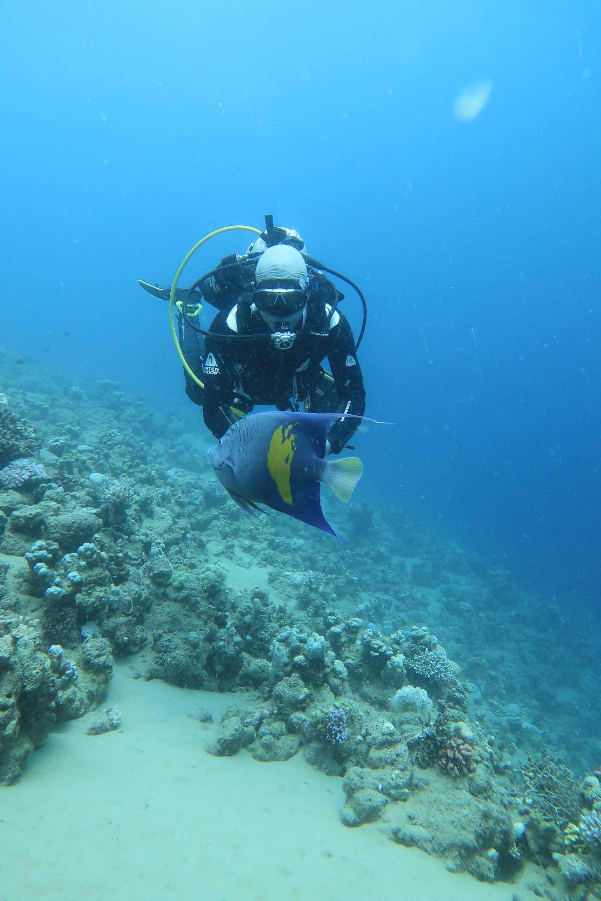 Aqua Nabq Diving Center photo 1