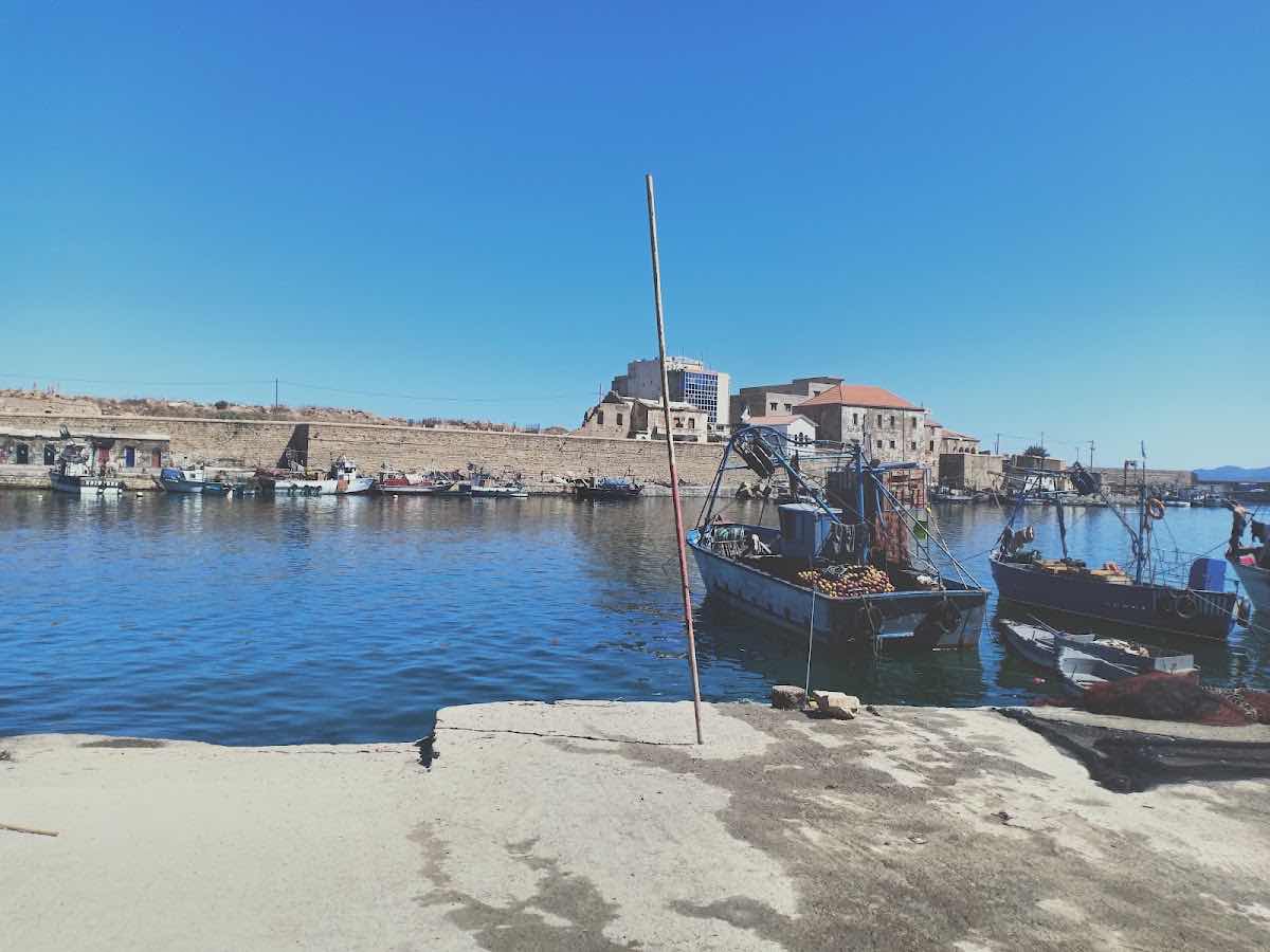 Aqua Nabq Diving Center photo 7