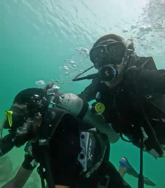 diving nest photo 4
