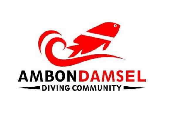 AMBON DAMSEL ( DIVING COMMUNITY ) photo 1