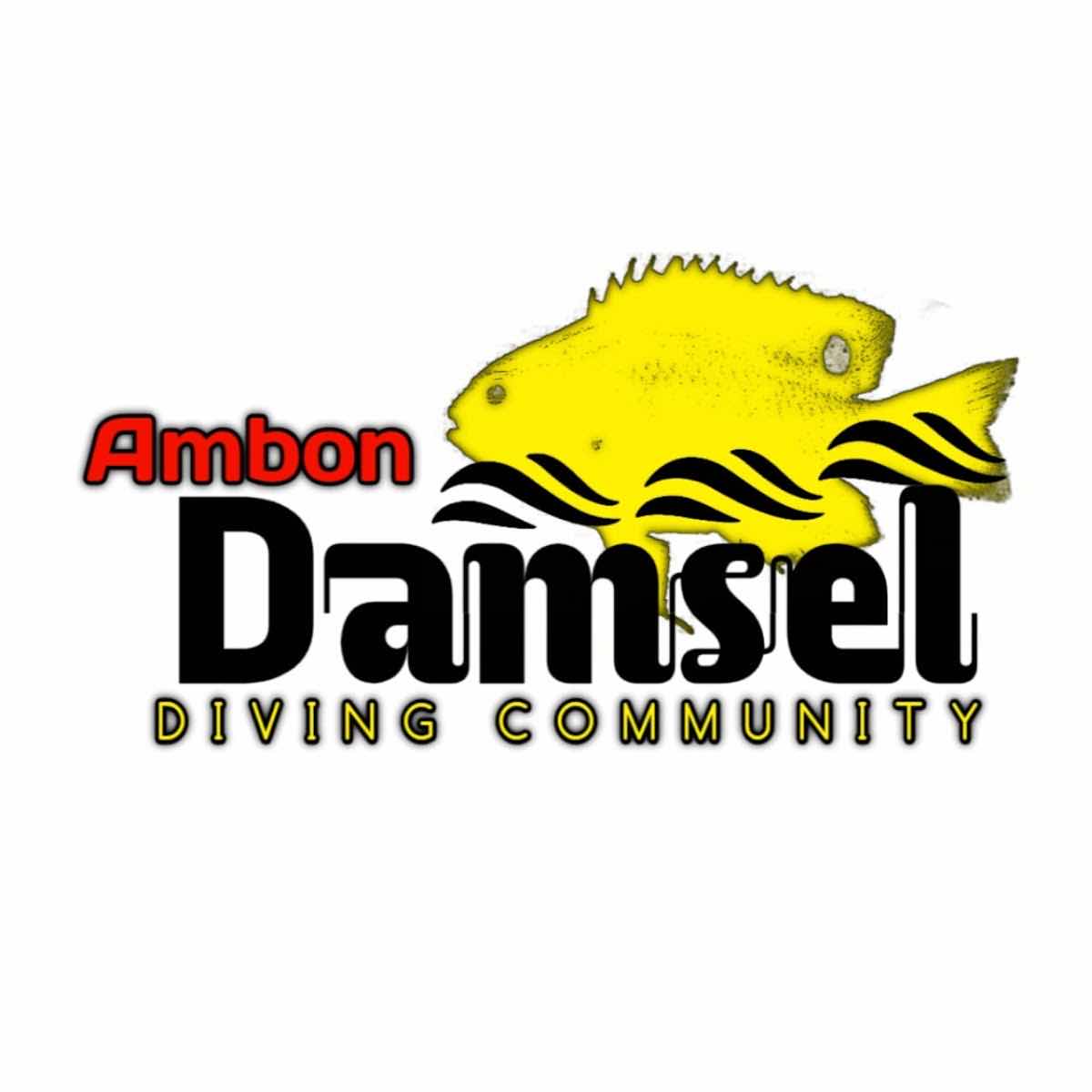 AMBON DAMSEL ( DIVING COMMUNITY ) photo 2