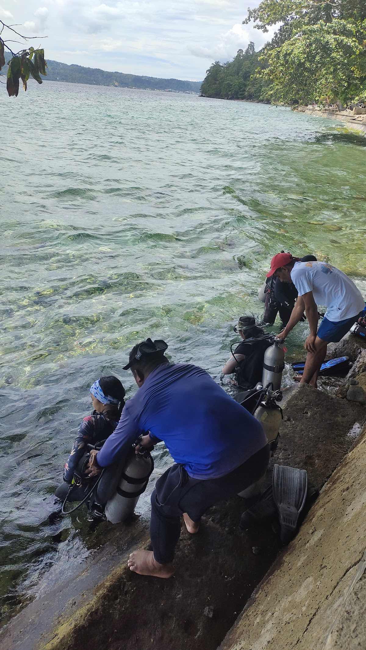 AMBON DAMSEL ( DIVING COMMUNITY ) photo 6