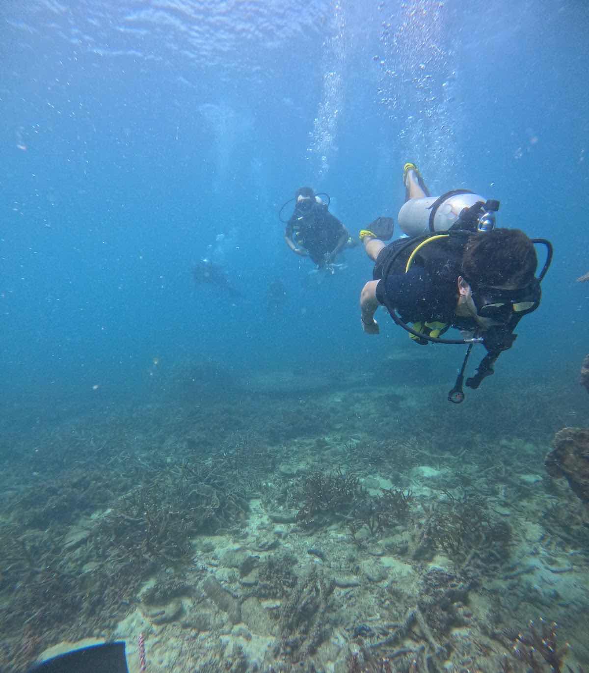 Nitro Dive Center photo 1
