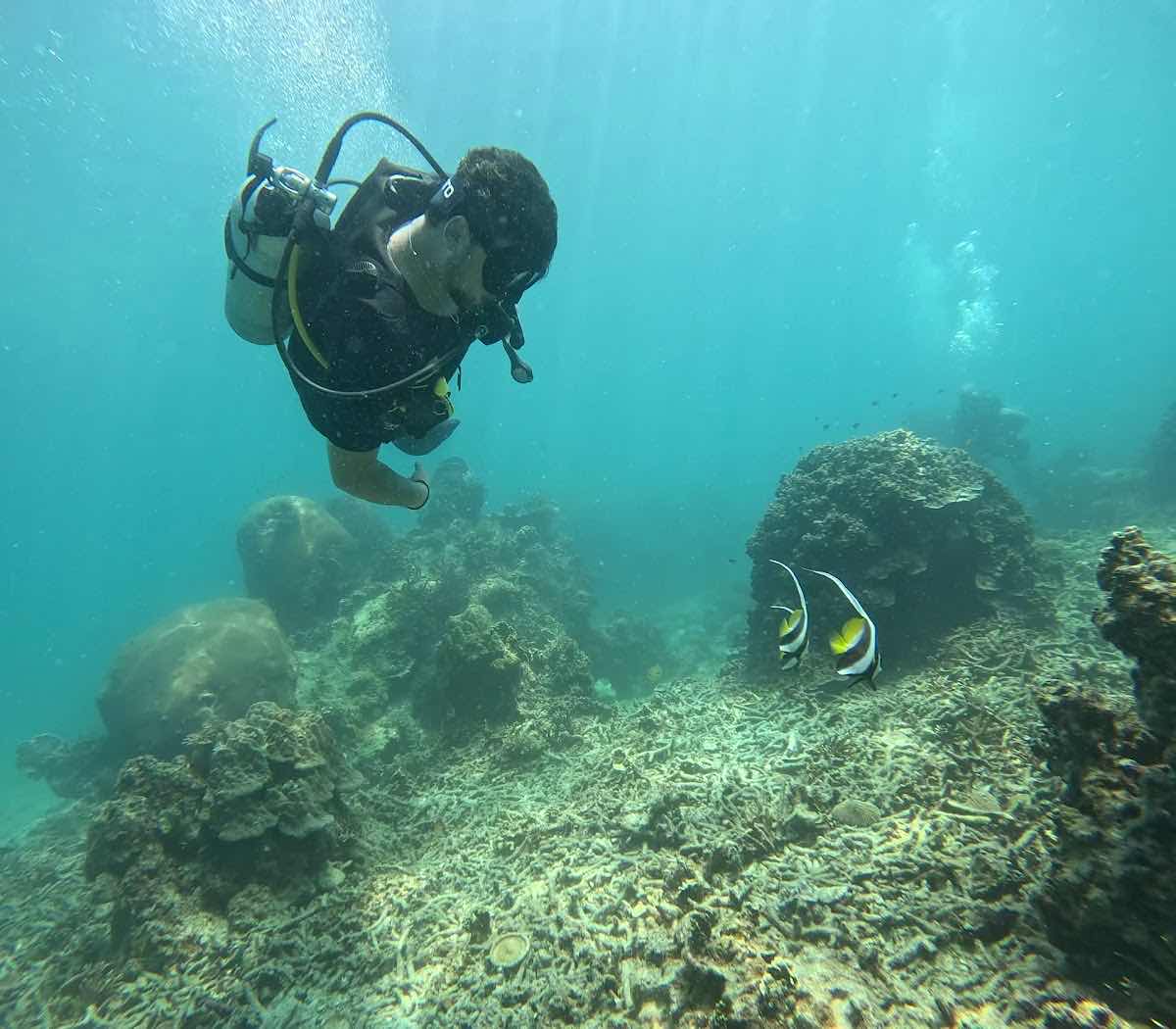 Nitro Dive Center photo 3