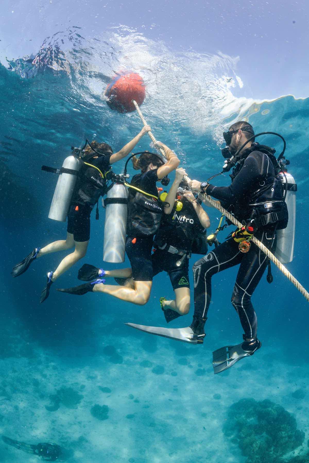 Nitro Dive Center photo 4