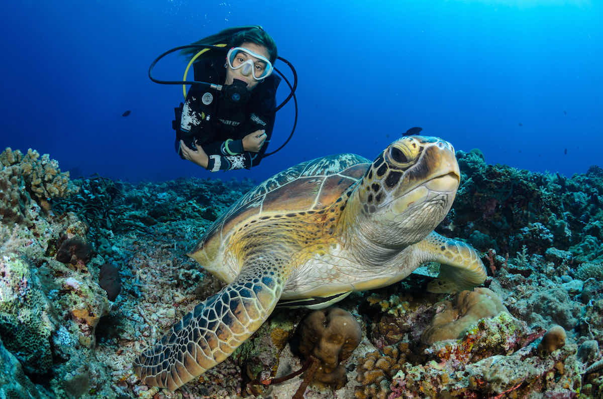 Nitro Dive Center photo 9
