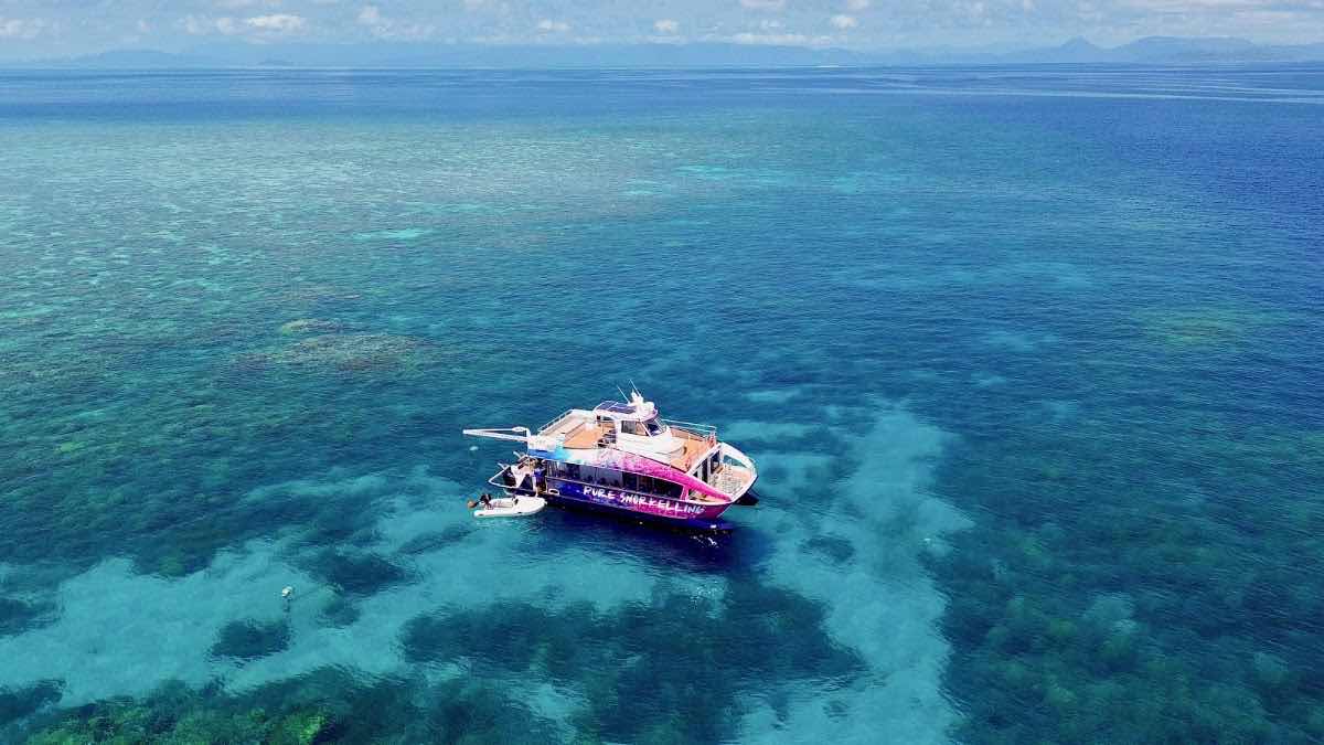 Snorkel Trips photo 7