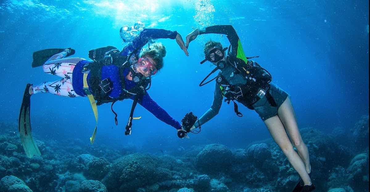Snorkel Trips photo 8