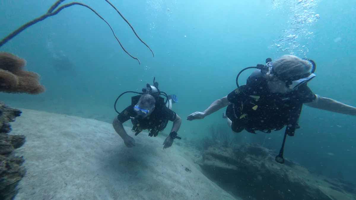 Dive Zone Center photo 3
