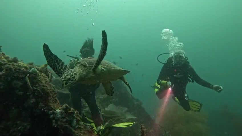 Secret Explorers Dive Center photo 3