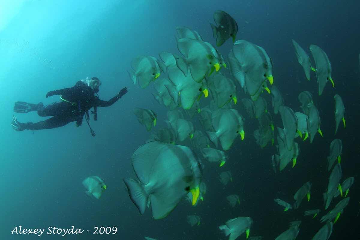 Secret Explorers Dive Center photo 4