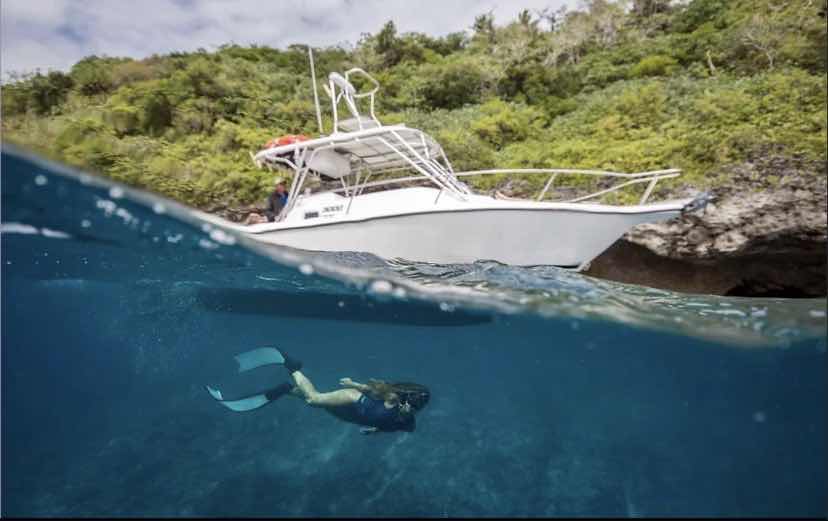 Explore Vava'u - Whale Watch & Swim photo 2