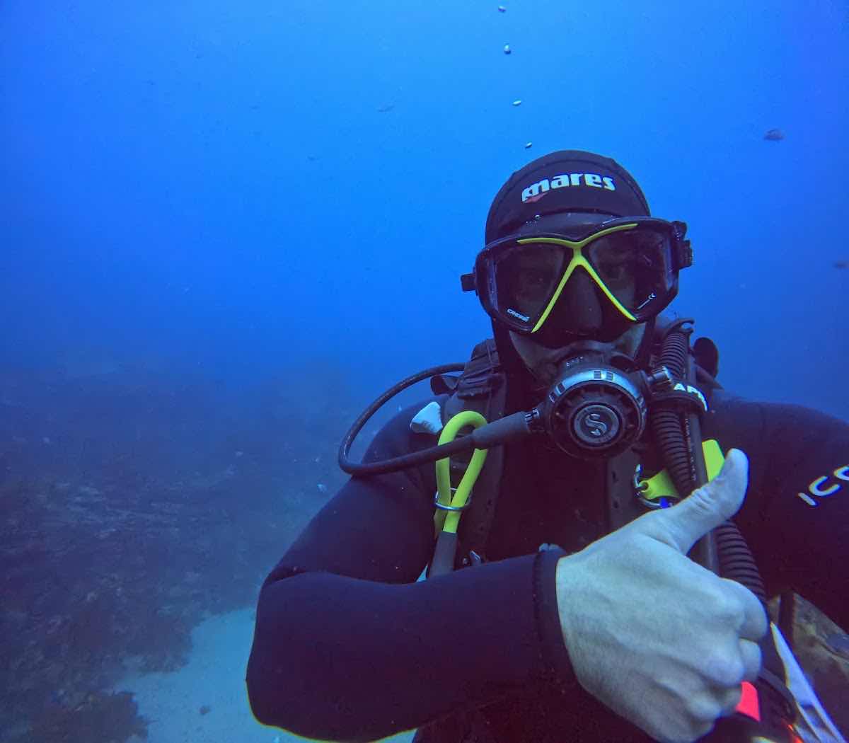 Dive Now - Poor Knights Dive & Snorkel photo 8