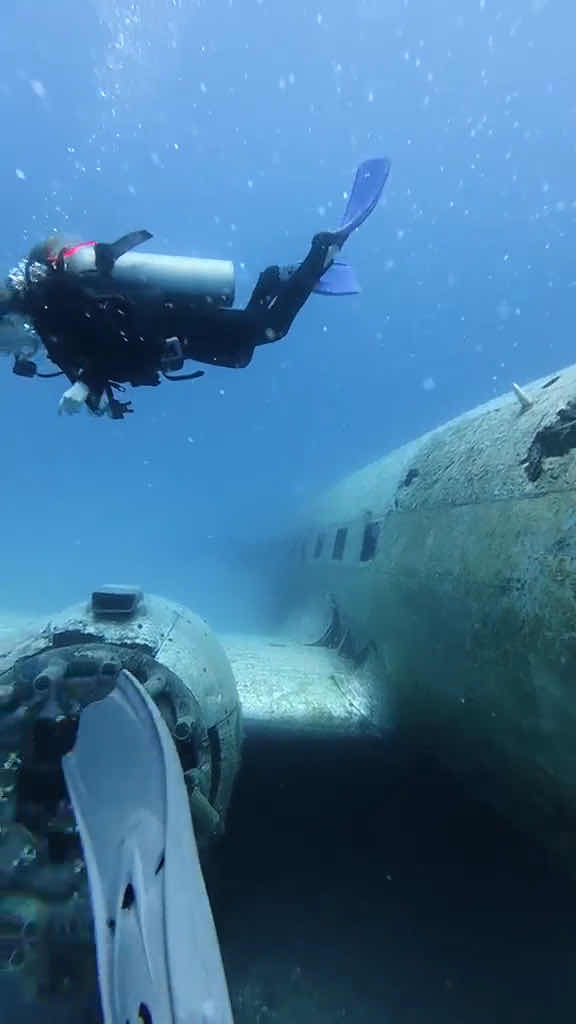 Divection Dalış Eğitim Merkezi photo 2