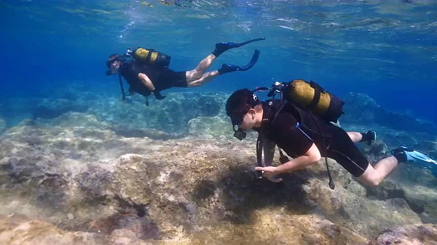 Divection Dalış Eğitim Merkezi photo 3