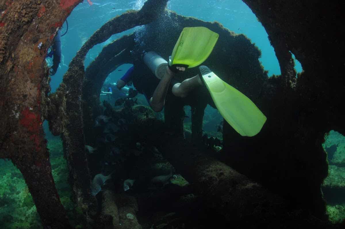 Clearwater Fernando de Noronha photo 10