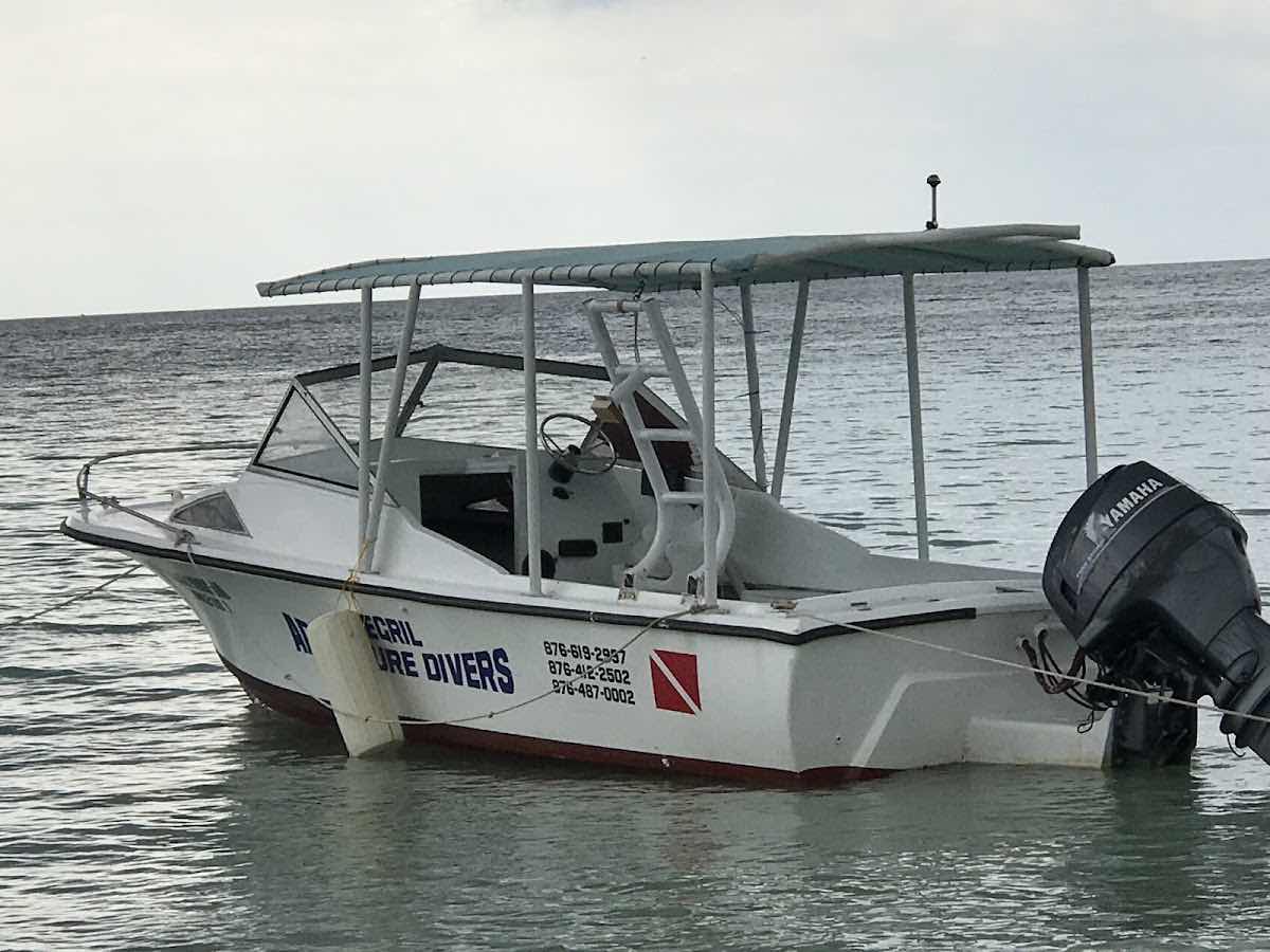 Negril Adventure Divers photo 1