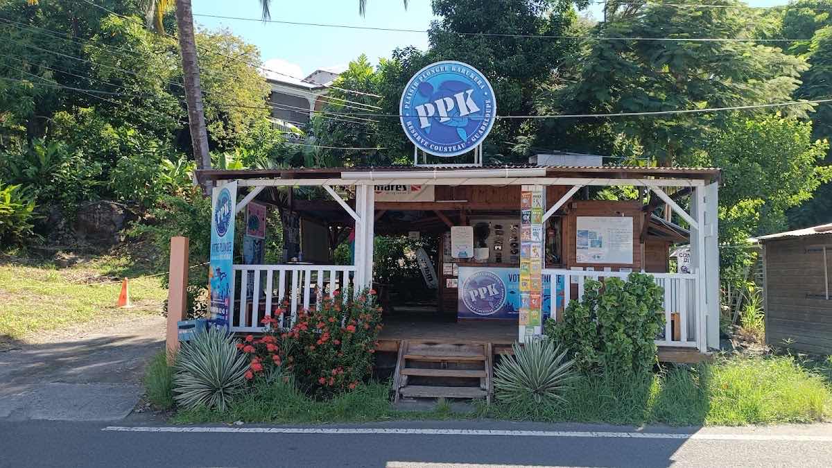 Piton Plongée - Guadeloupe photo 9