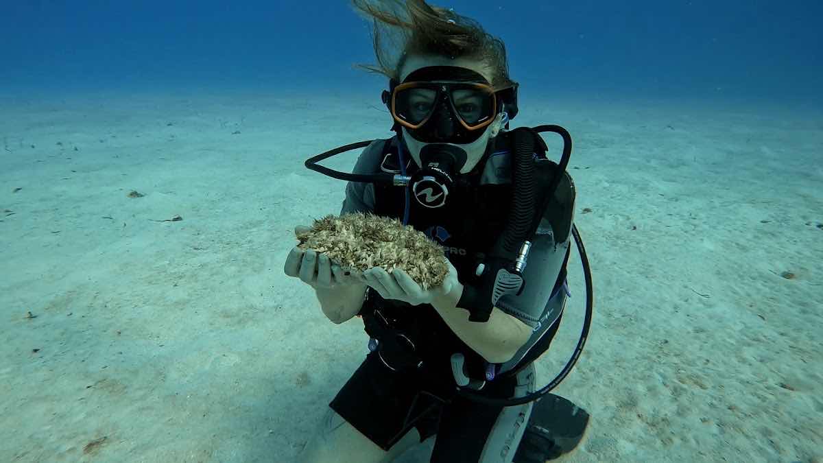 Cayman University Divers photo 1