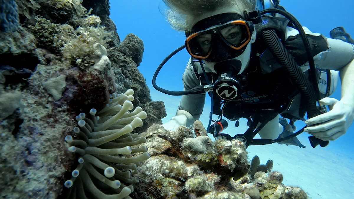 Cayman University Divers photo 2