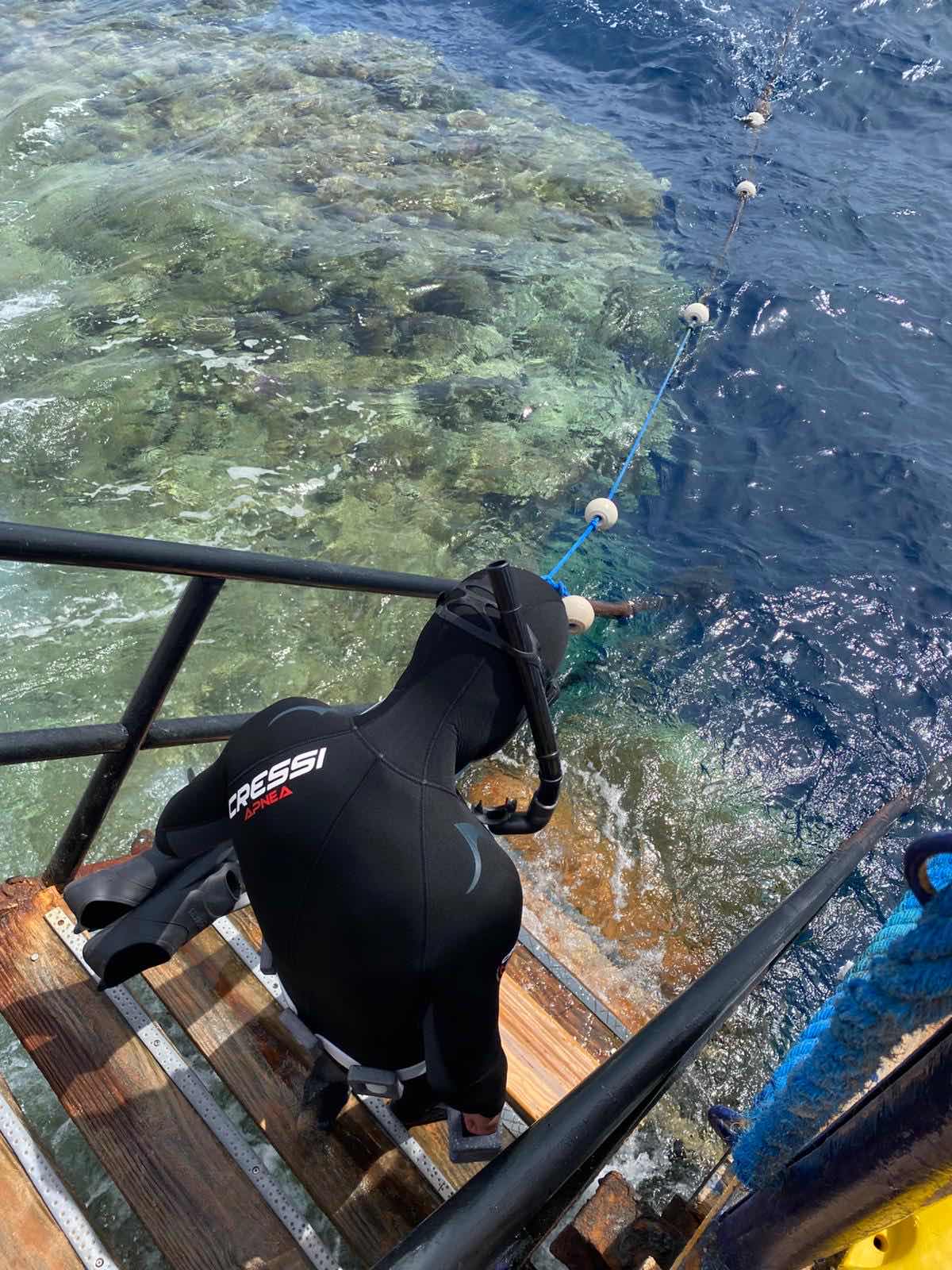 Apnetica freediving photo 2