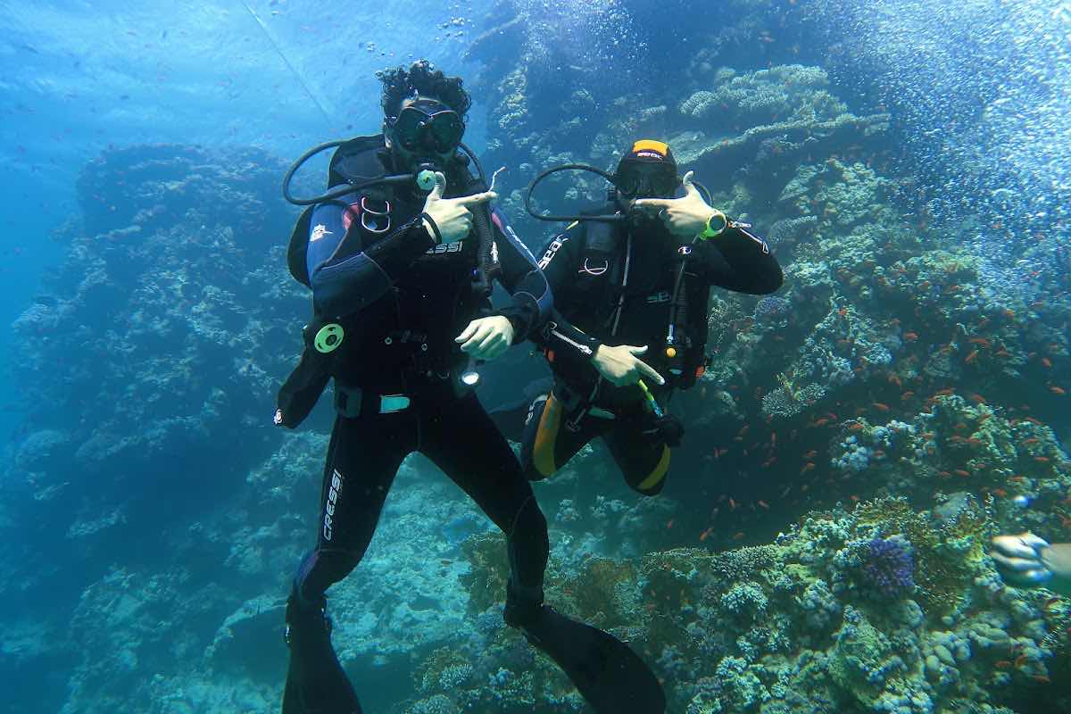 Apnetica freediving photo 10