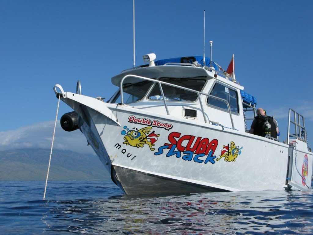 Limitless Dive Co. Maui photo 8