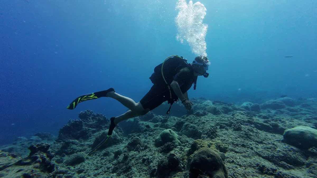 Nemo Diving Center photo 5
