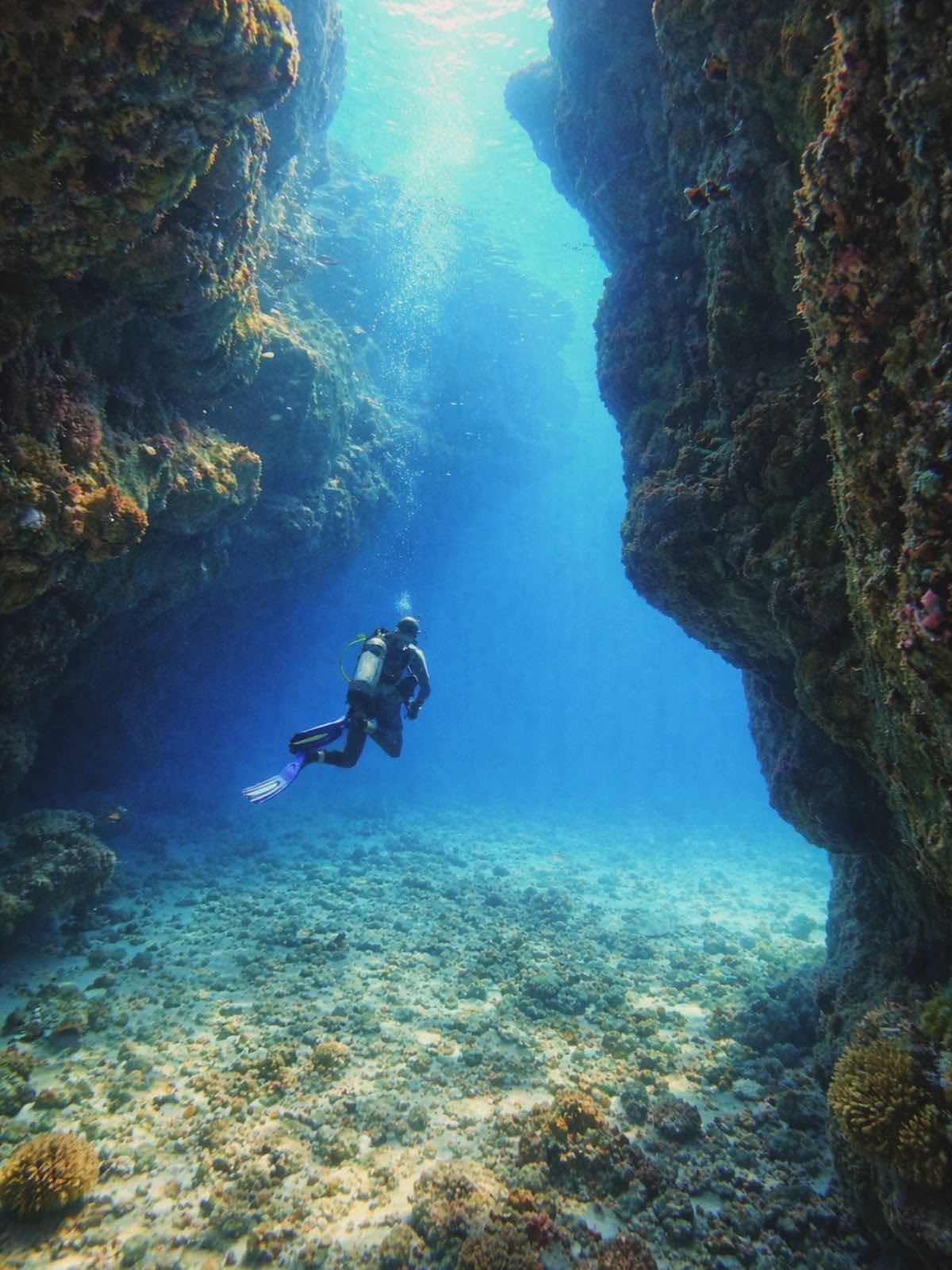 Nemo Diving Center photo 7