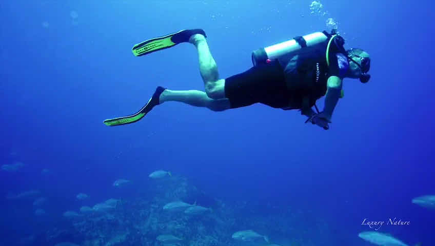EQUINOXE Diving School photo 2