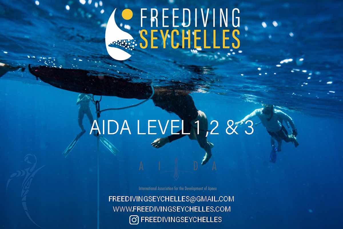 EQUINOXE Diving School photo 6