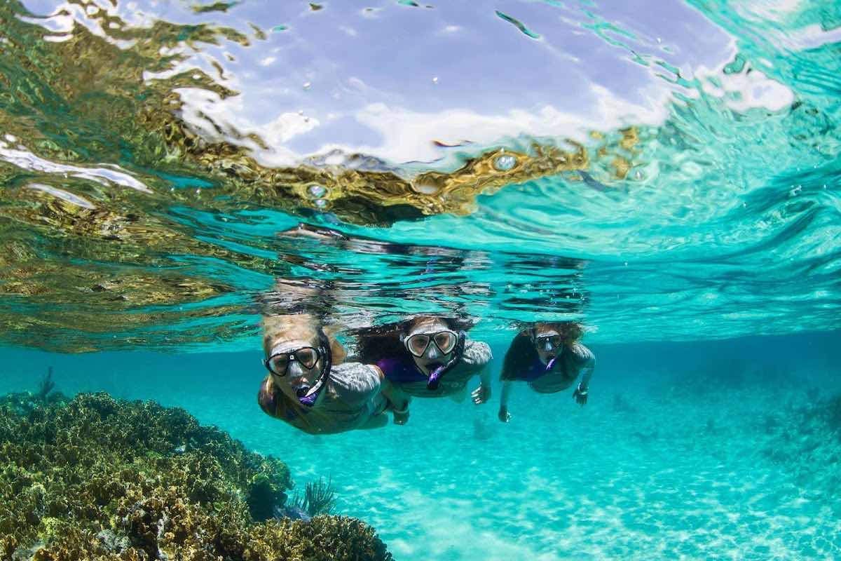 EQUINOXE Diving School photo 9