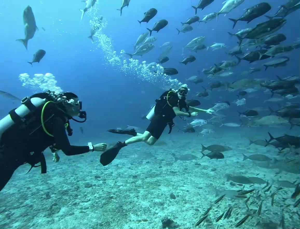 Yu Dive Khao Lak photo 4