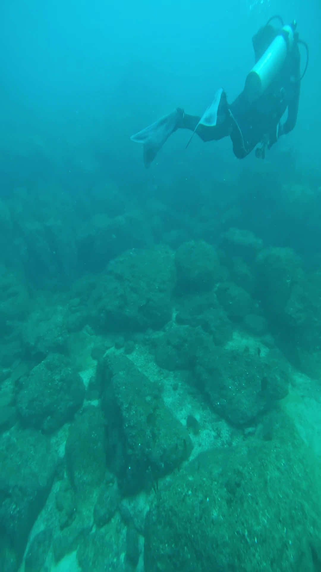 Coiba Dive Center photo 3