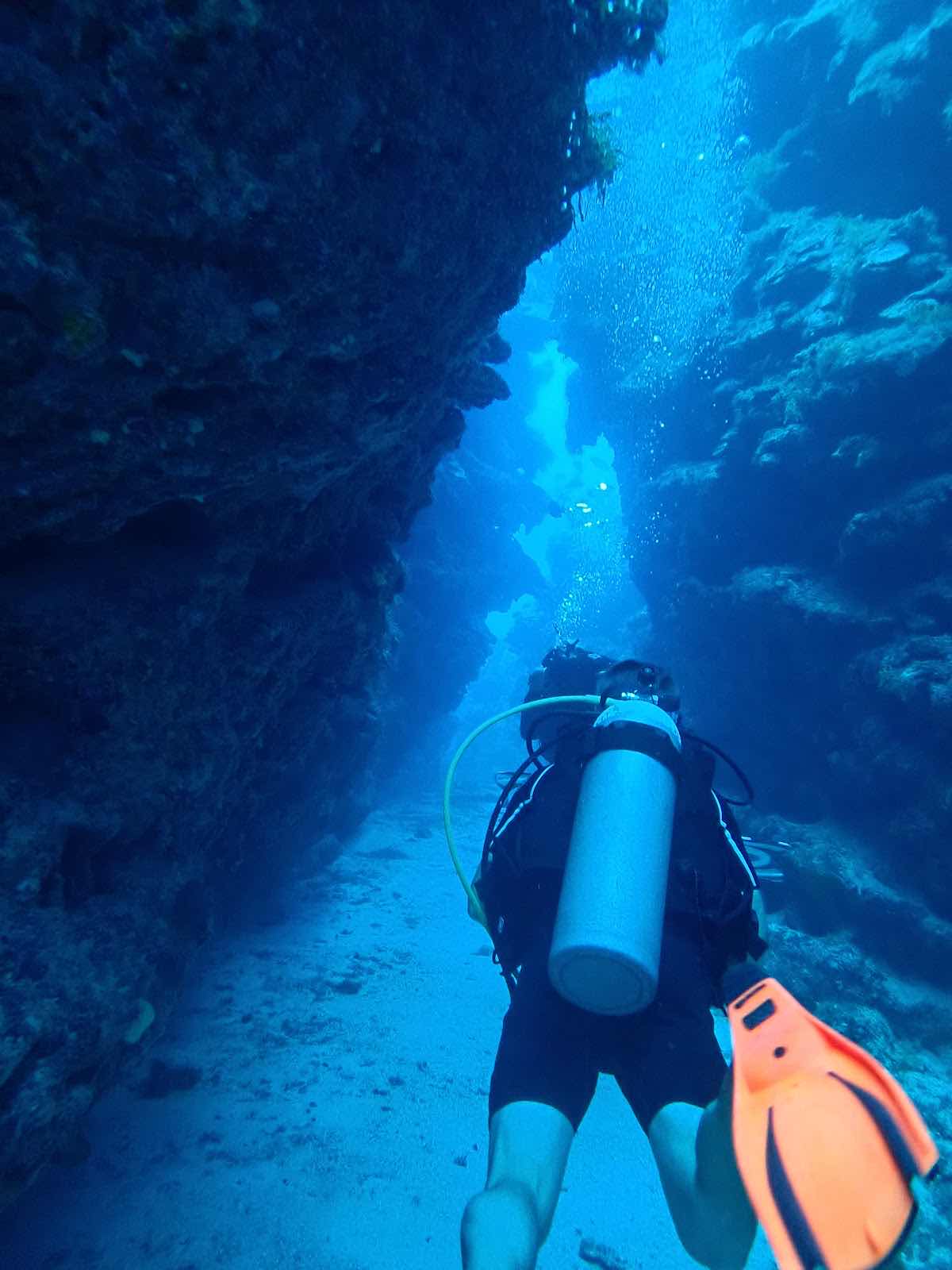 INDIGO DIVERS Grand Cayman photo 6
