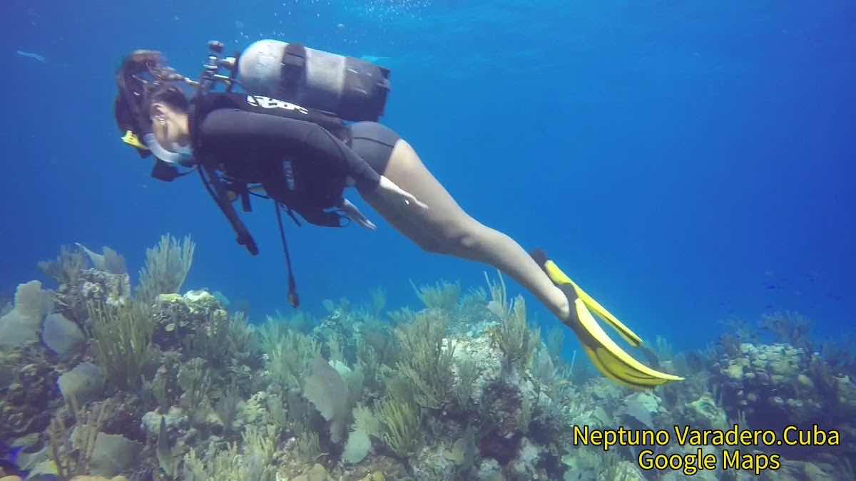 Neptuno Varadero. Centro de Buceo. photo 9