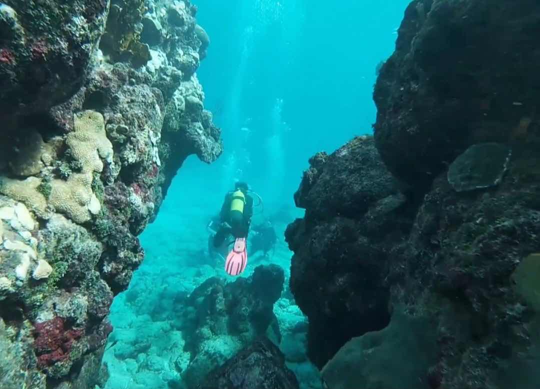 Neptuno Varadero. Centro de Buceo. photo 10