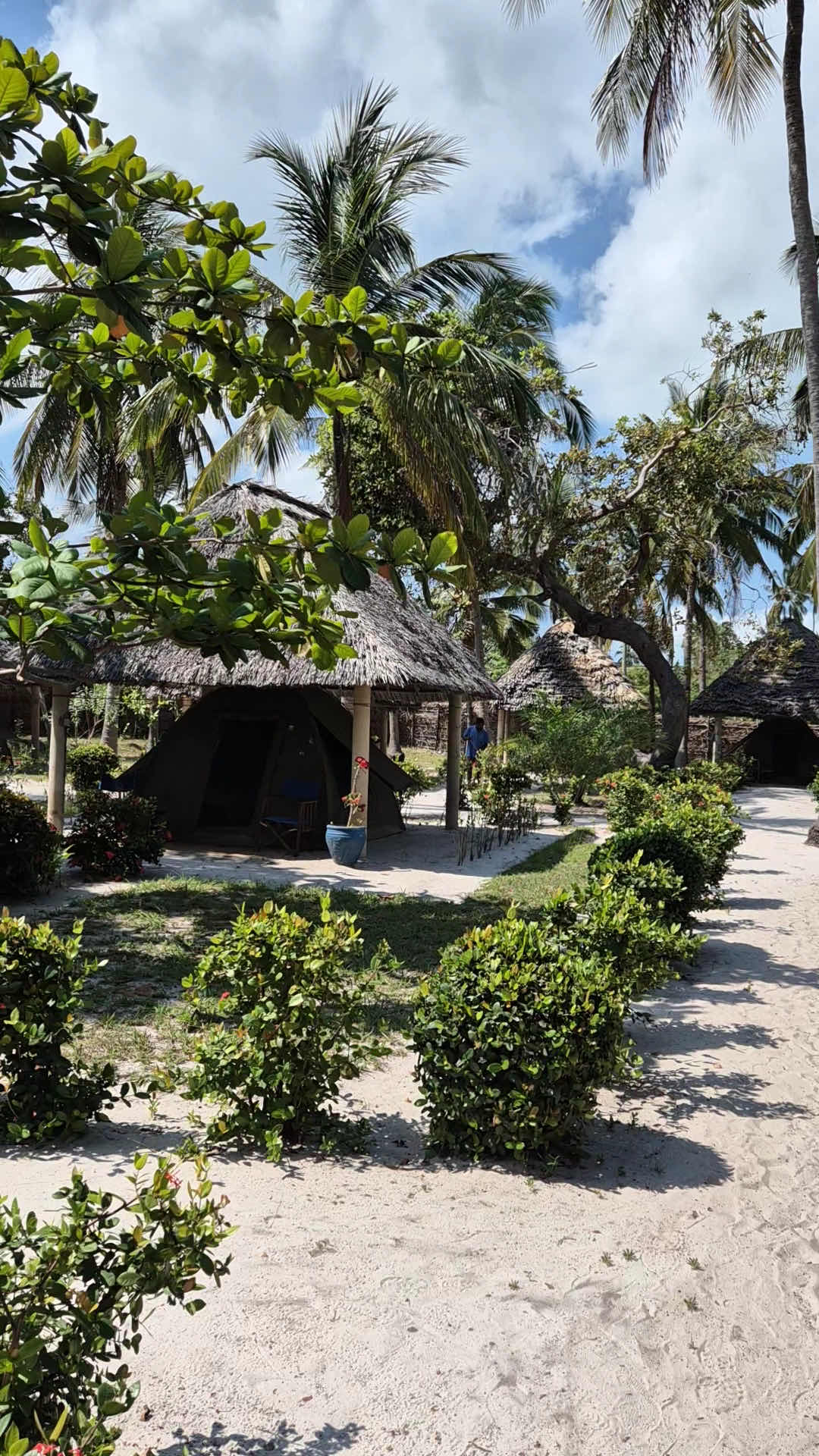 BIG BLU MAFIA ISLAND DIVE CENTRE photo 8