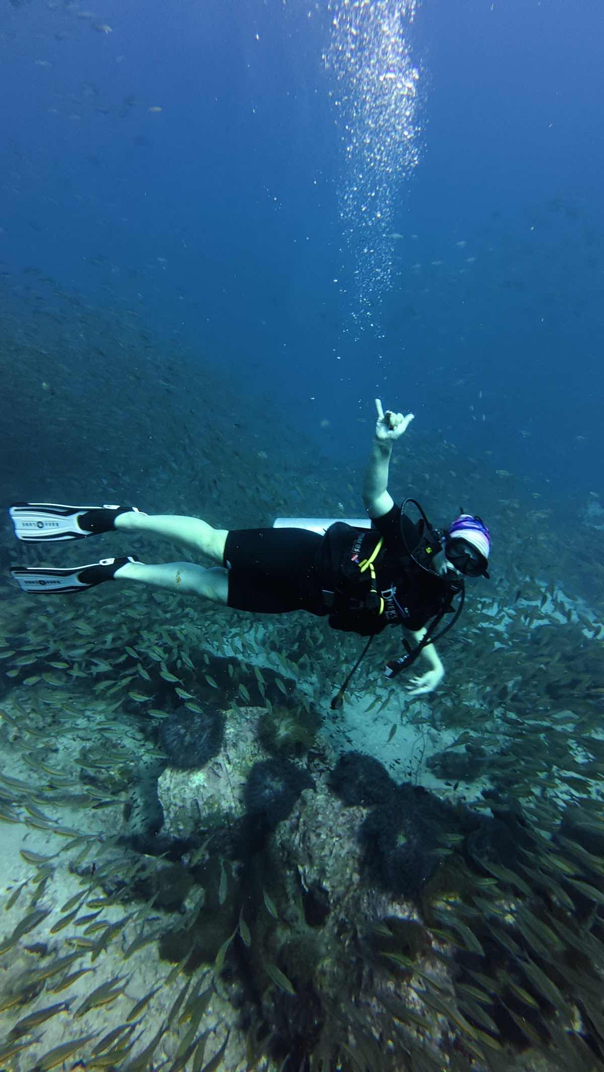 The Diver's Boat photo 2