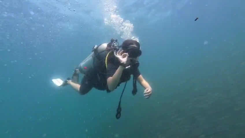 The Diver's Boat photo 3