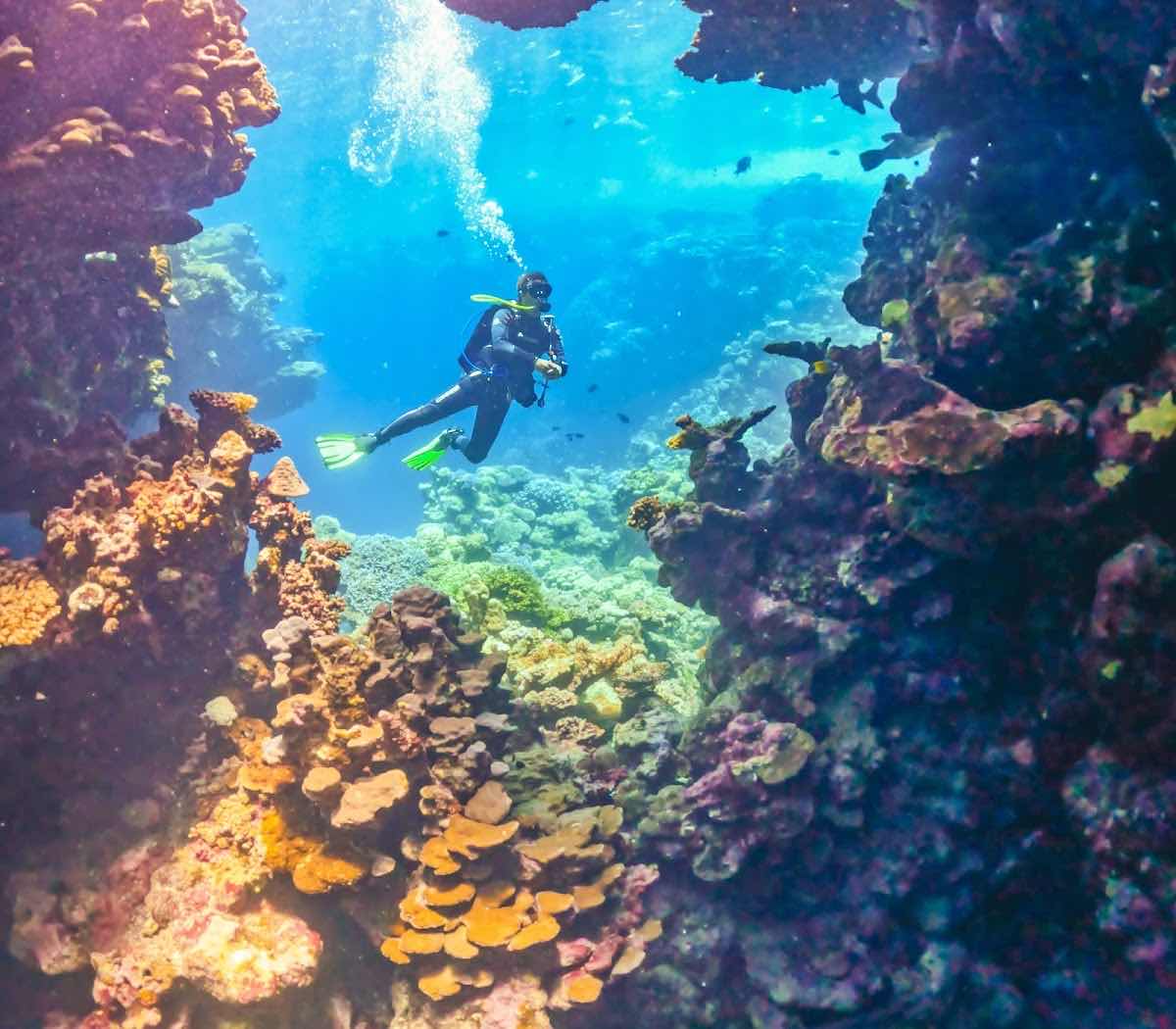 Amazing Divers | Muhammetshawky photo 2