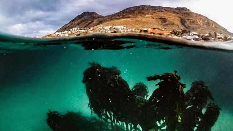 Amazing Divers | Muhammetshawky photo 4
